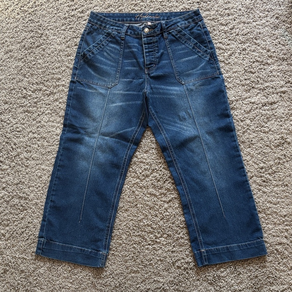 Hydraulic Murray Wide Leg Crop Jeans